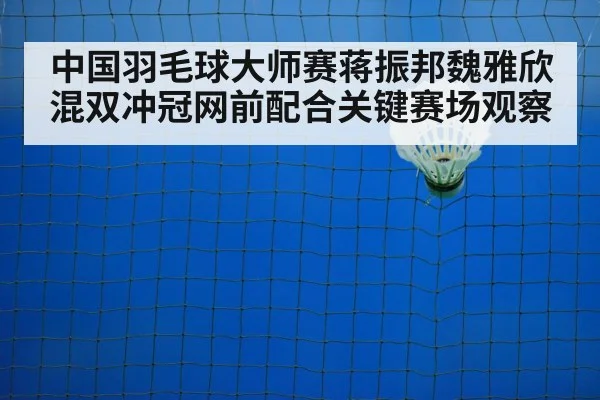 badminton net shot closeup